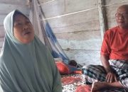 Tanggapi Video Viral, Samria Ungkap PT KLS Tidak Merampas Tanah Warga Apalagi Mengintimidasi
