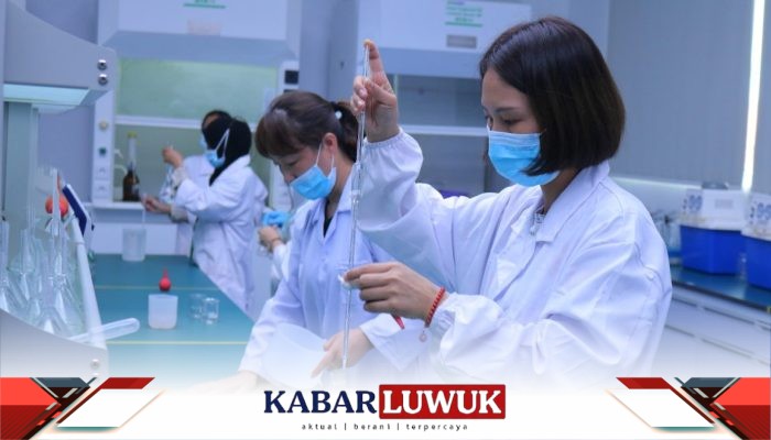 Kolaborasi IMIP dan Kampus Dorong Pengembangan SDM Berkompeten