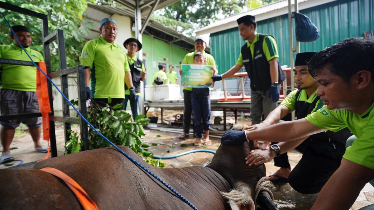 Idul Adha 1446H, DKM PT IMIP Bagikan 1.000 Paket Daging Kurban