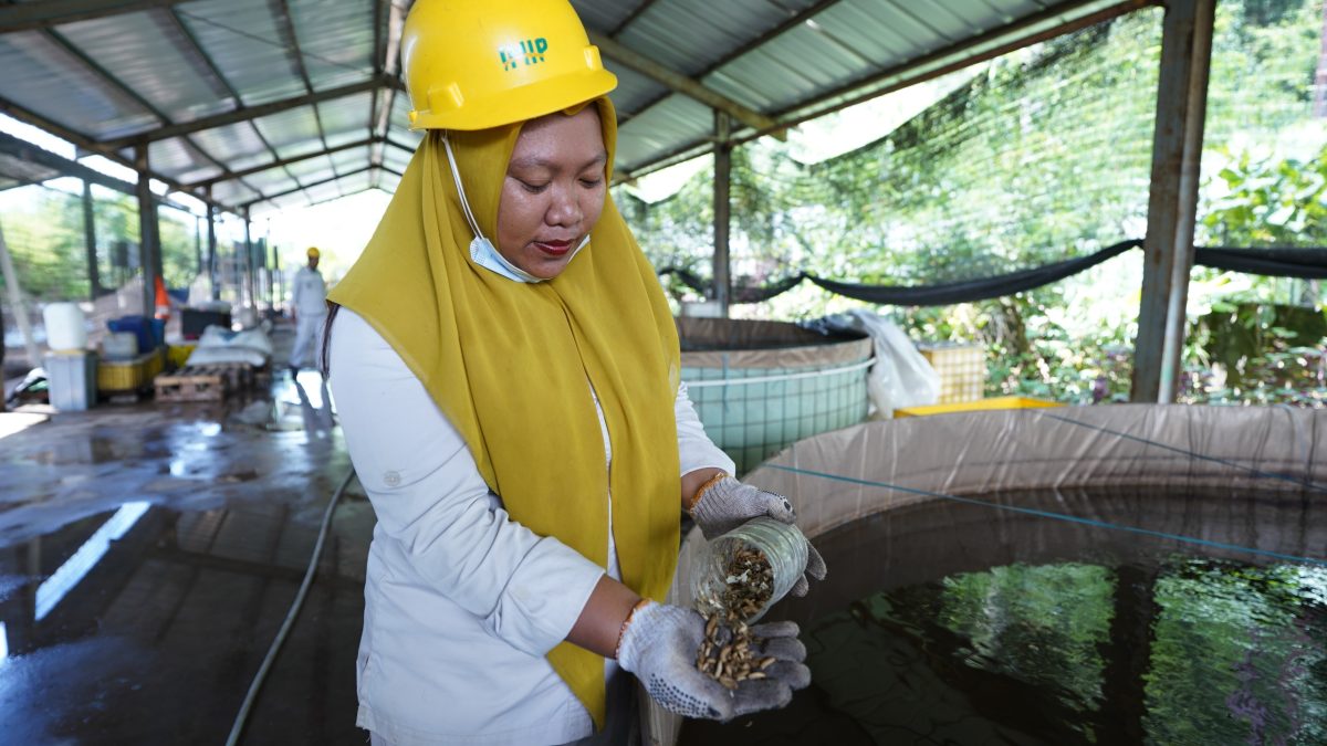 Terapkan Konsep Zero Waste, IMIP Olah 182 Ton Sampah Jadi Kompos dan Pakan Ikan