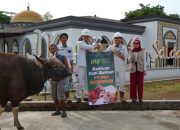 Jelang Idul Adha 2025, PT IMIP Serahkan 22 Ekor Sapi di Morowali