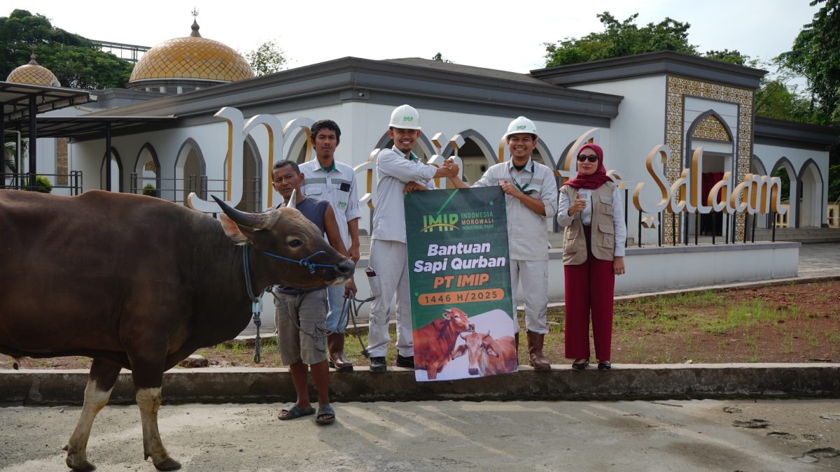 Jelang Idul Adha 2025, PT IMIP Serahkan 22 Ekor Sapi di Morowali