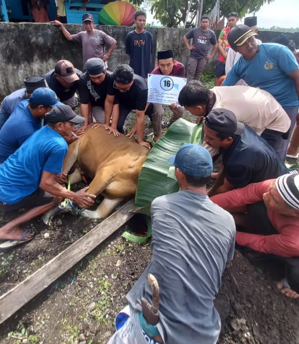 Pekerja dan Mitra JOB Tomori Salurkan Hewan Kurban Bagi Masyarakat Sekitar Area Operasi CPP Senoro