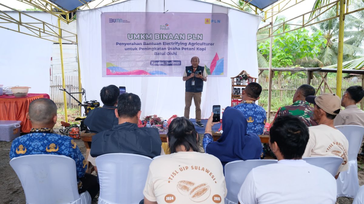 PLN Dukung Perekonomian Petani Banggai Lewat Program Kopi Batui Menanam Harapan di Bawah Menara