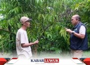 PLN Dukung Perekonomian Petani Banggai Lewat Program Kopi Batui