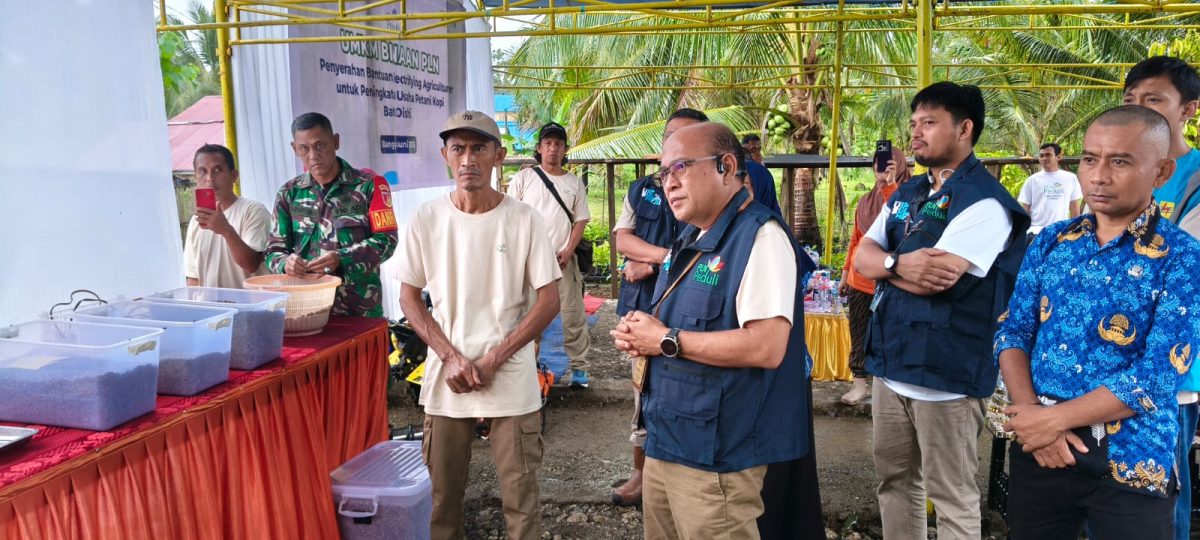 PLN Dukung Perekonomian Petani Banggai Lewat Program Kopi Batui Menanam Harapan di Bawah Menara