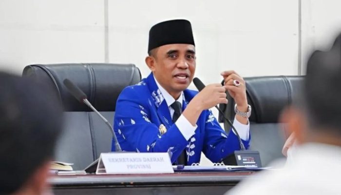Pemprov-Sulteng Berupaya Tingkatkan Sistem Layanan Kesehatan Inklusif