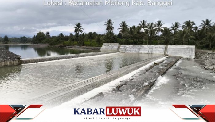 Pembangunan Bendungan Bifurkasi Selamatkan Ribuan Hektar Lahan Persawahan Di Kecamatan Moilong Kabupaten Banggai