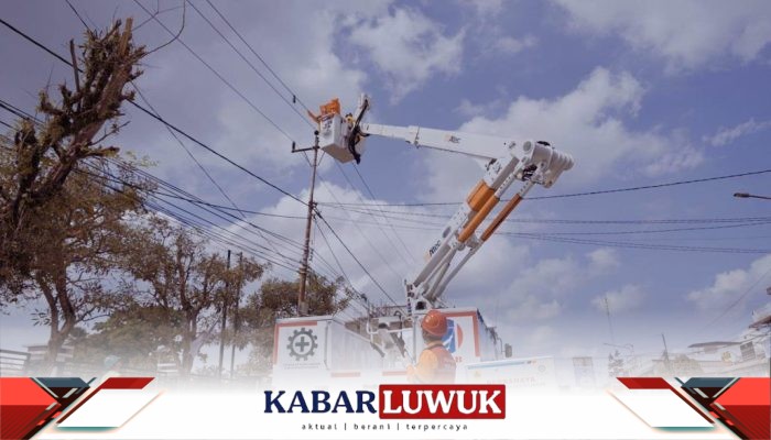 Durasi dan Frekuensi Gangguan Listrik Menurun, PLN Catat Kinerja Operasional Positif sepanjang 2024