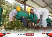 Terapkan Konsep Zero Waste, IMIP Olah 182 Ton Sampah Jadi Kompos dan Pakan Ikan