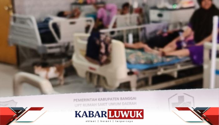 Layanan Berani Sehat di RSUD Luwuk Disambut Positif oleh Masyarakat