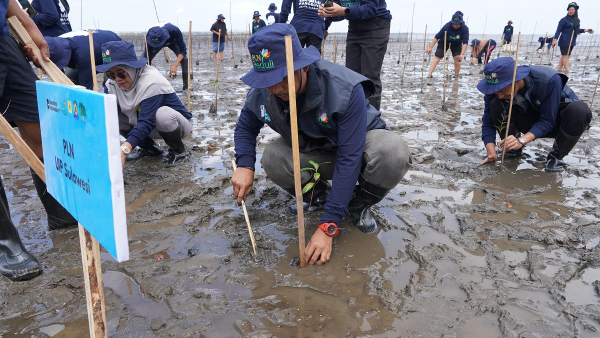 Mangrove untuk Semesta: PLN UIP Sulawesi Hijaukan Jeneponto Melalui Penanaman 7.000 Bibit Mangrove di Hamparan Pesisir Tamalatea