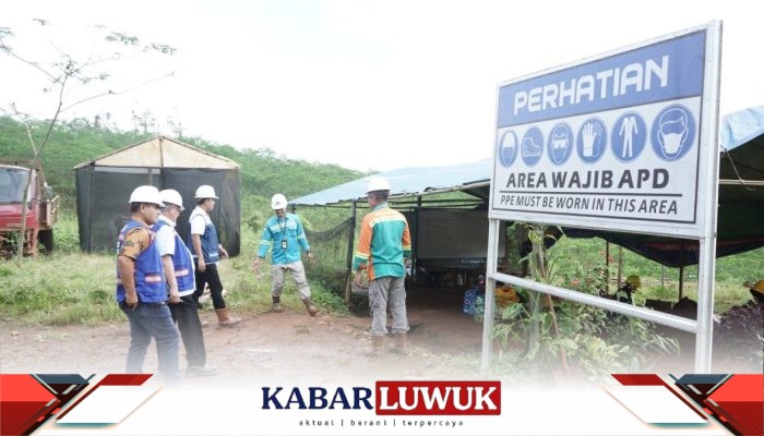 PT BDM Target Reklamasi 1.337 Hektare Lahan Pascatambang
