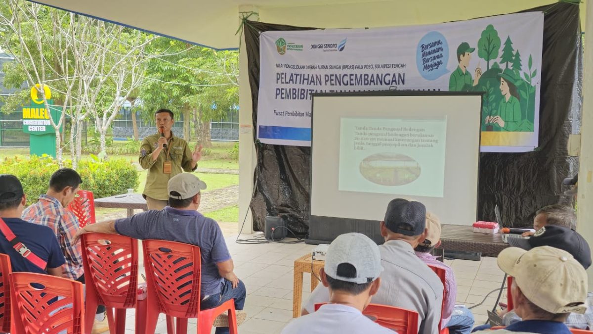 DSLNG Lestarikan Alam Sulawesi Tengah Melalui Program Pelatihan Pembibitan Kehutanan