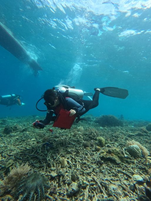 Menjaga Ekosistem Laut, IMIP Rehabilitasi Terumbu Karang Sombori
