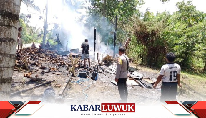 Porono Kopra di Molino Terbakar, Ribuan Biji Kelapa Hangus