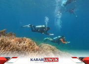 Menjaga Ekosistem Laut, IMIP Rehabilitasi Terumbu Karang Sombori