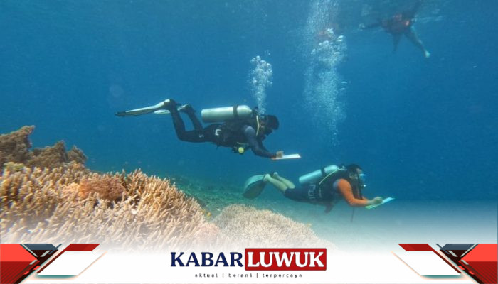Menjaga Ekosistem Laut, IMIP Rehabilitasi Terumbu Karang Sombori