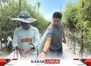 IMIP Berdayakan Petani Bahodopi Kembangkan Agribisnis Modern