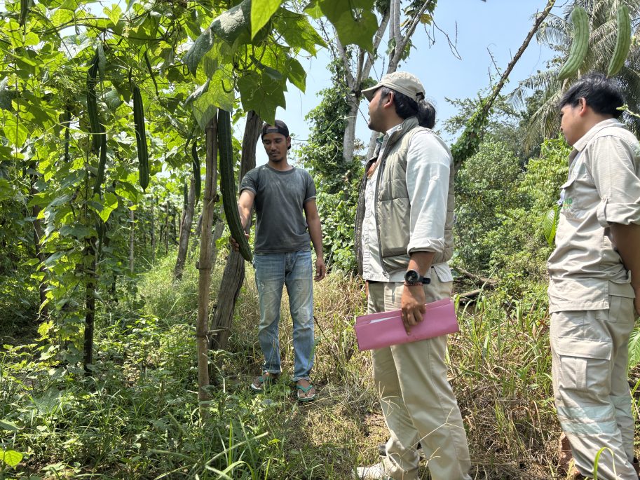 IMIP Dorong Hortikultura Berkelanjutan: Transformasi Lahan dan Ekonomi Lokal