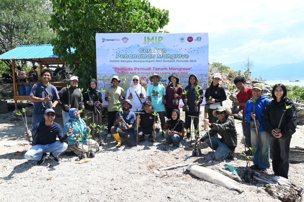 IMIP Gandeng Generasi Muda Tanam Mangrove di Teluk Palu