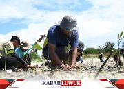 IMIP Gandeng Generasi Muda Tanam Mangrove di Teluk Palu