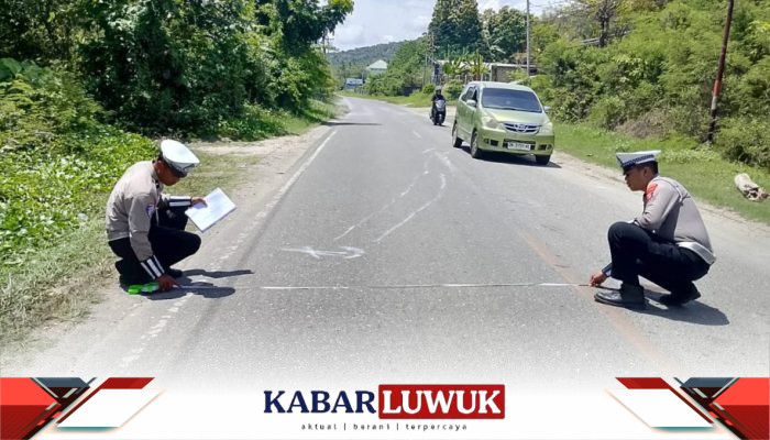 Pemotor Tewas Usai Tabrak Pria Diduga ODGJ, Polres Banggai Gelar Olah TKP
