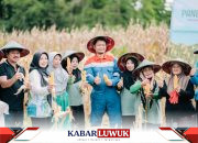 Dari Sekolah Lapang ke Panen Raya: Perubahan Nyata Petani Kayowa Bersama Pertamina EP DMF