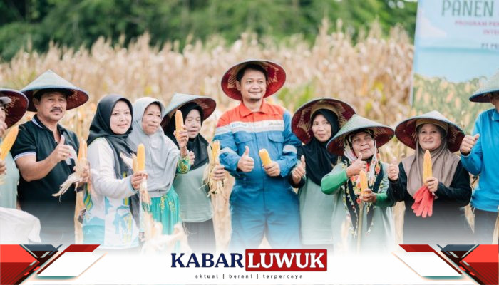 Dari Sekolah Lapang ke Panen Raya: Perubahan Nyata Petani Kayowa Bersama Pertamina EP DMF