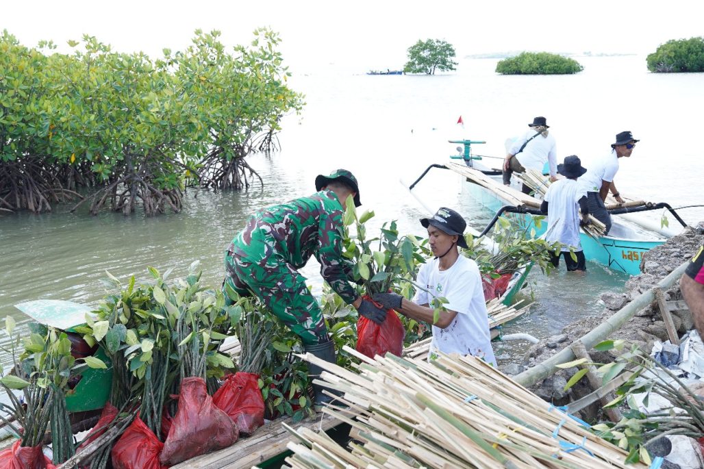 PLN Se-Regional Makassar Tanam 10.150 Pohon untuk Perkuat Ketahanan Pesisir Kabupaten Jeneponto