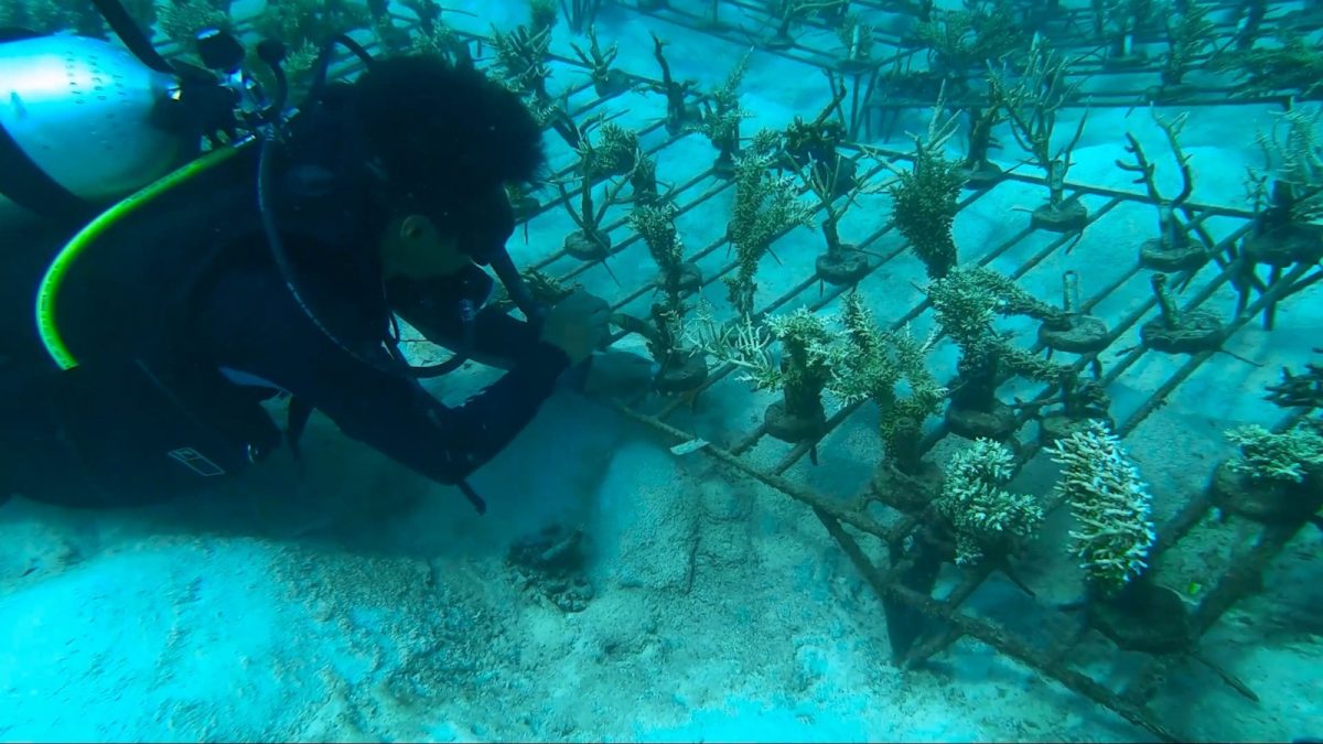 IMIP Kembali Terima Tiga Penghargaan di Ajang CSR Award