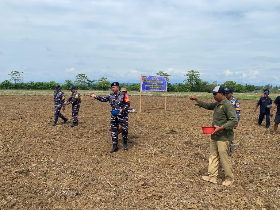 Dukung Program TNI AL, Pos TNI AL Luwuk Lanal Palu Laksanakan Penanaman Kedelai Anjasmara