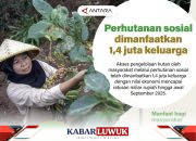 Perhutanan Sosial Dimanfaatkan 1,4 Juta Keluarga
