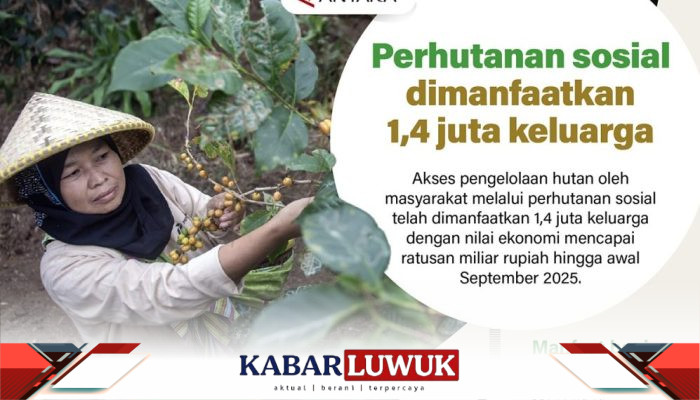 Perhutanan Sosial Dimanfaatkan 1,4 Juta Keluarga