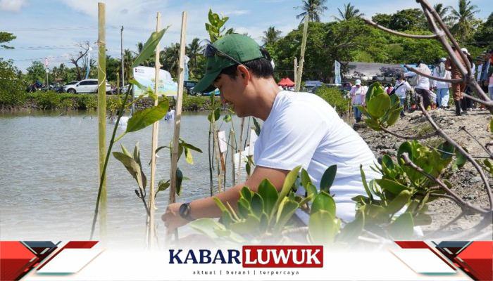 PLN Se-Regional Makassar Tanam 10.150 Pohon untuk Perkuat Ketahanan Pesisir Kabupaten Jeneponto