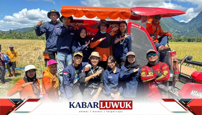 Lumbung Emas Hijau di Tanah Transmigrasi Bungku Utara: Panen Raya Makna Harapan Baru Para Petani