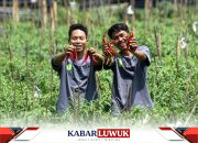 Outlook Pertanian 2026 dari Swasembada ke Sistem Pangan Berkelanjutan