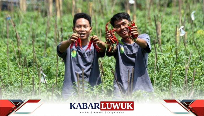 Outlook Pertanian 2026 dari Swasembada ke Sistem Pangan Berkelanjutan