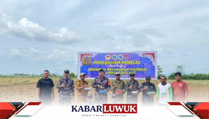 Dukung Program TNI AL, Pos TNI AL Luwuk Lanal Palu Laksanakan Penanaman Kedelai Anjasmara