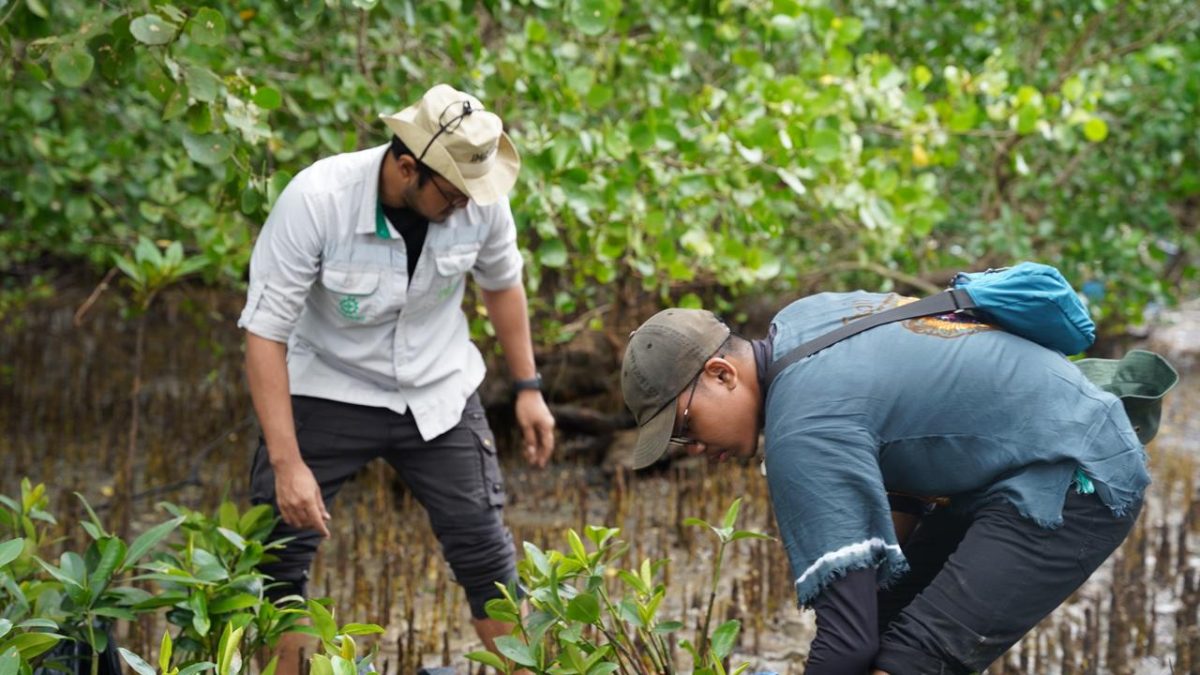 Langkah Hijau IMIP Tanam Mangrove, Menjaga Keberlanjutan Lingkungan