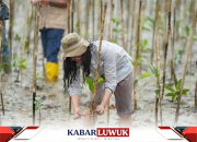 Langkah Hijau IMIP Tanam Mangrove, Menjaga Keberlanjutan Lingkungan