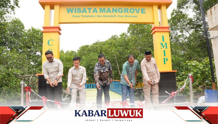 CSR IMIP Tuntaskan Pembangunan Desa Wisata Mangrove Padabaho