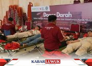 IMIP Target Salurkan 480 Kantong Darah Peringati BK3N 2026