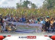 Didampingi DSLNG, Petani Honbola Kembali Giat Budidaya Jagung