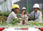 IMIP Fasilitasi Magang Dosen, Kuatkan Kolaborasi Industri–Akademisi