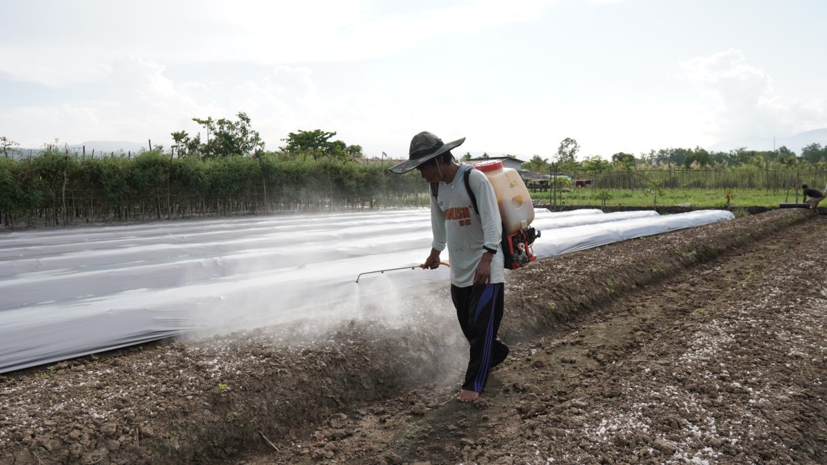 CSR IMIP Perkuat Kemandirian Ekonomi Petani Lokal