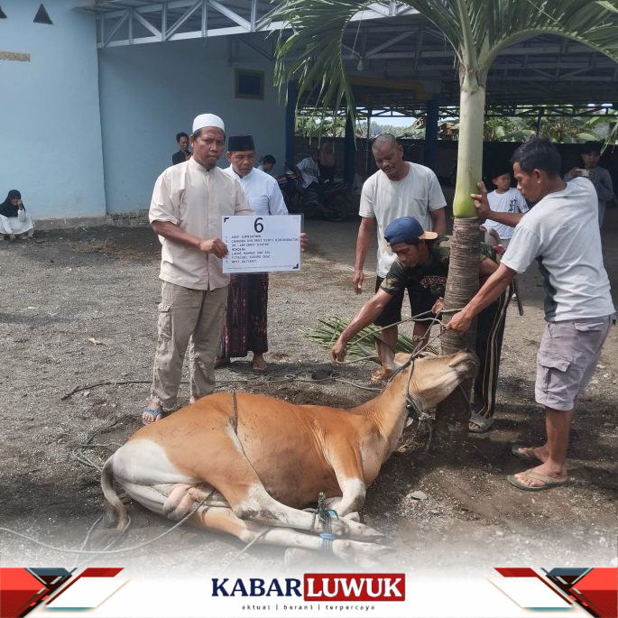 Pererat Silaturahmi, Jamaah BDI CPP Senoro Bagikan 32 Hewan Kurban