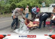 Polisi Evakuasi Mobil Pick up, Alami Kecelakaan Tunggal di Jalan Lingkar Luwuk-Batui