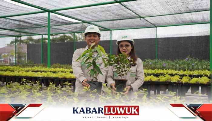 Sambut HLHS 2026, IMIP Jadikan RTH sebagai Kategori Lomba