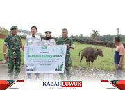 Jelang Idul Adha 1447 H, IMIP Salurkan Puluhan Hewan Kurban